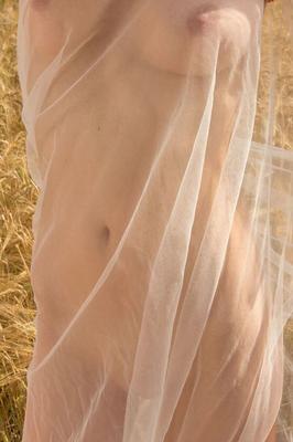 16P Slender teen Lera F removes see thru wrap for nude poses in a field of wheat