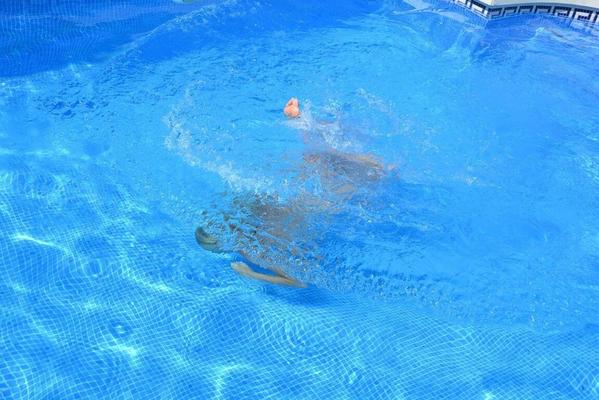 20P Busty mature blonde Melody goes for a skinny dip in an inground pool