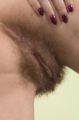 17P Nasty dark haired babe Gerda May poses solo and shows her hairy snatch