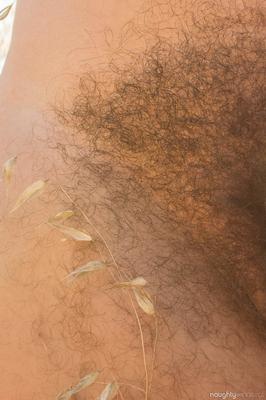 21P Amateur American babe with hairy armpits Nikki Silver flaunts her bushy crotch