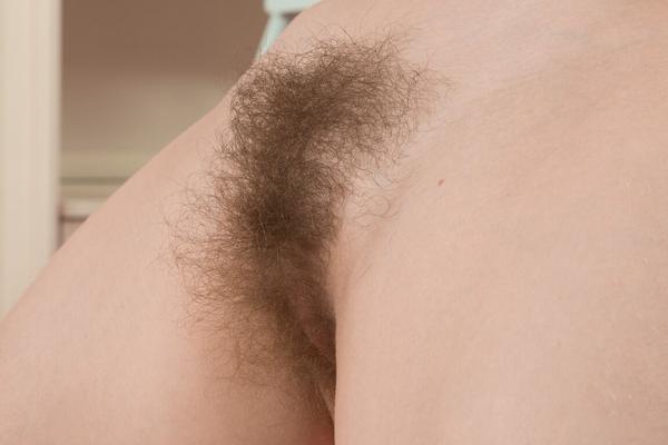 17P Brunette girl Aria teases with her hairy love hole and bushy armpits in solo