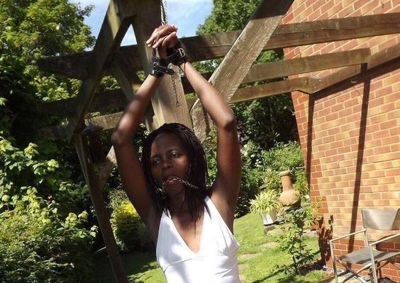 16P Black Fox Bound The Country Garden
