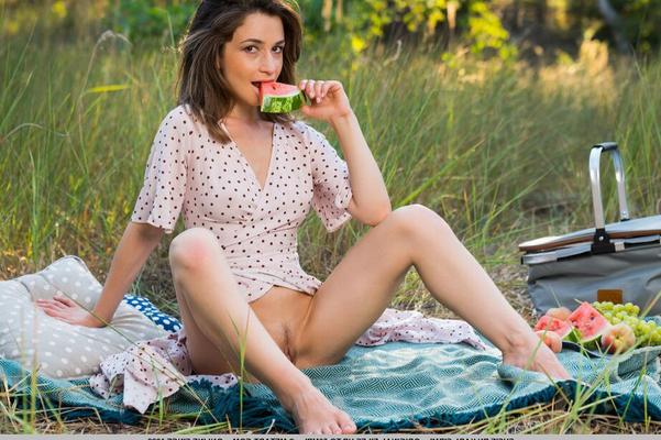 18P Petite teen Susie gets naked on a blanket while having a picnic