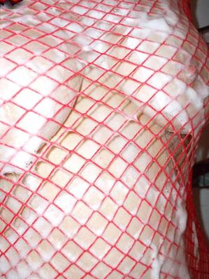 20P Older amateur Busty Bliss soaps up her boobs in a mesh dress