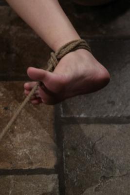 21P Hogtied Cassie, Dana DeArmond