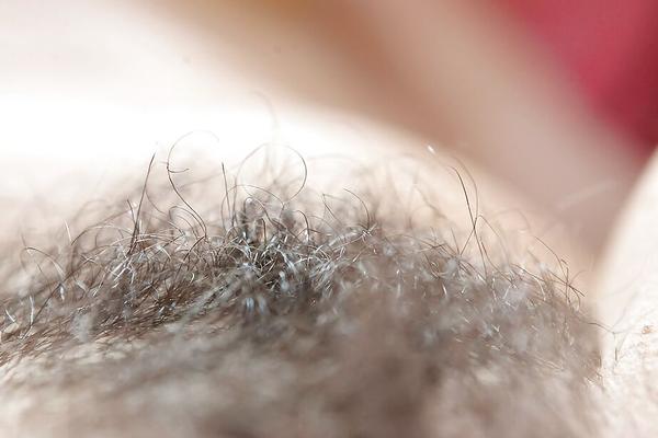 16P Модель Hirsute Estella Z раздевается догола, чтобы засветить волосатые подмышки и влагалище