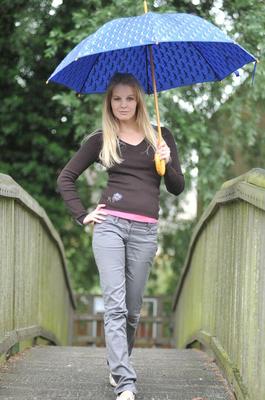 15P Foxes Rainy Day Blues