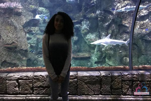 20P Curly haired ebony girlfriend Ariana Aimes strips & exposes her black curves