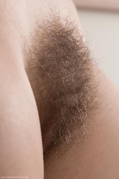 18P Brunette minx Berry strips nude & shows her hairy ass up close on the sofa