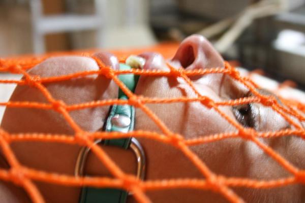 20P Bound and ballgagged blonde in fishnets Adrienne awaits for her punishment