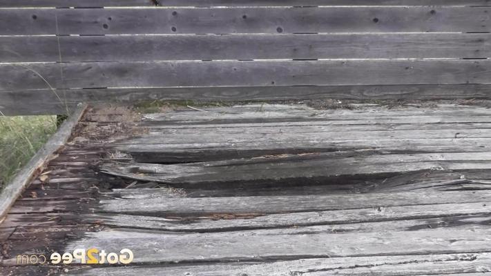 15P Solo girl Katya ducks behind a wooden fence for a badly needed piss
