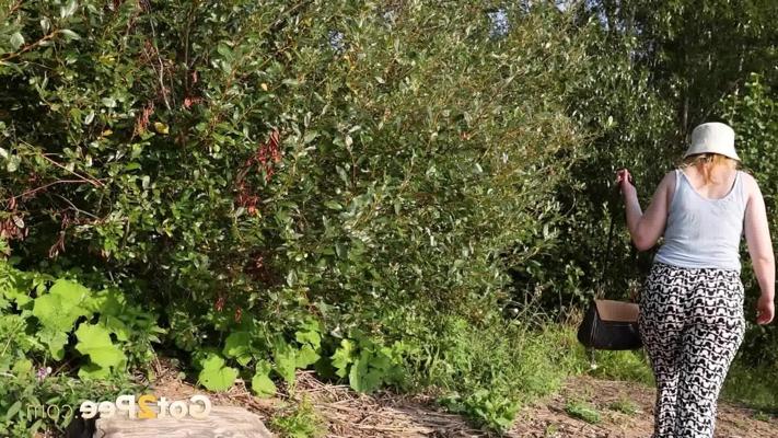 15P Caucasian girl Magnolia takes a badly needed piss near some bushes