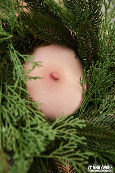 20P Gorgeous teen Toree gets completely naked after decorating a Christmas tree