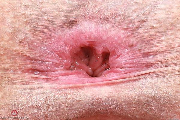 20P Caucasian beauty Ella Nova grabs her big ass and spreads her hairy cunt