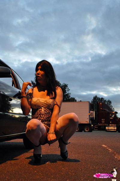 16P Dark-haired Asian shemale in stockings sucks and rides a dildo on a car