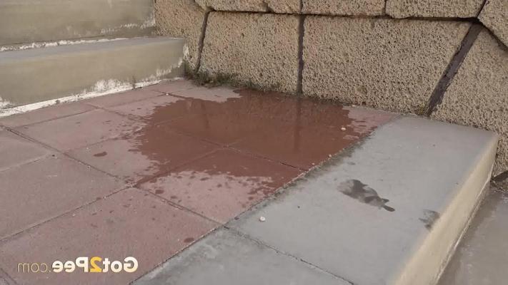 15P Pretty brunette Sexy Lexy takes a big pee on a flight of public steps