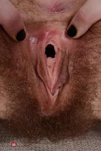 20P Young redhead Ivy Addams reveals her hairy vagina and stretches its pussy lips
